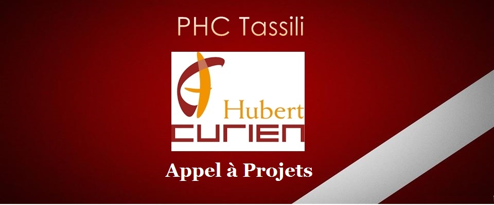 PHC tassili 2019 phase II