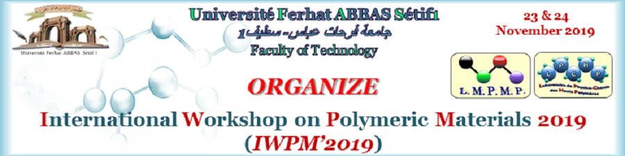 international-workshop-polymeric materials